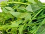 Cắt mí ăn rau lang được không – 6 thực phẩm kiêng ăn sau cắt mí