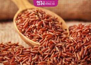 Ăn gạo lứt giảm cân không? 10 Công thức 1 tuần với gạo lứt