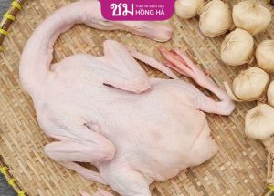 Cắt mí ăn thịt vịt được không? Cần kiêng ăn thịt vịt bao lâu?