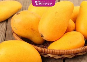 Cắt mí có được ăn xoài không? 8 lợi ích của quả xoài với sức khỏe