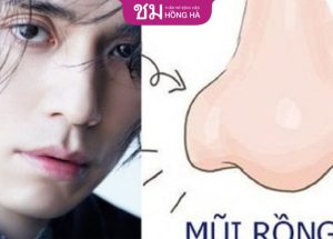 Mũi rồng là như nào? Xem tướng mũi rồng đoán vận mệnh “sang hèn”