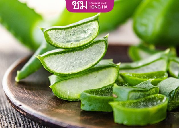 Trị sẹo ở môi bằng cây nha đam