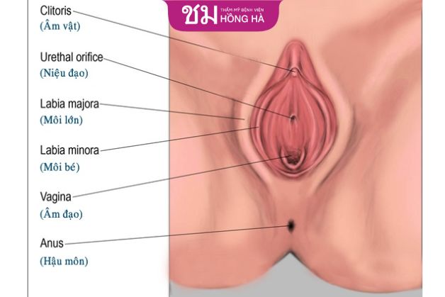 Thẩm mỹ thu nhỏ môi bé tại BV Hồng Hà giá 9 triệu đồng