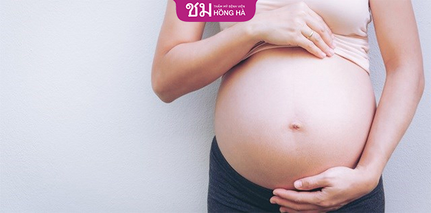 Việt Nam là một trong những đất nước có tỉ lệ thụ tinh nhân tạo thành công cao