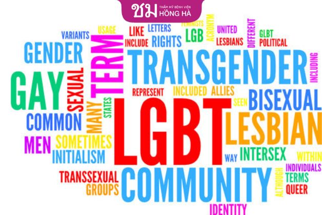 LGBTQ+ có nhiều thuật ngữ riêng