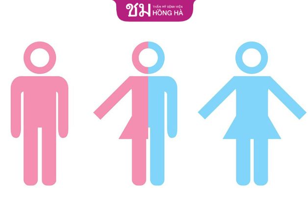 Người liên giới tính có những đặc điểm đặc biệt