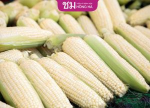 Cắt mí mắt ăn bắp được không? Các thực phẩm cần bổ sung