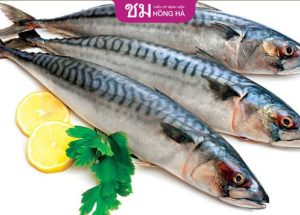 Cắt mí ăn cá biển được không- 4 nhóm thực phẩm cần bổ sung