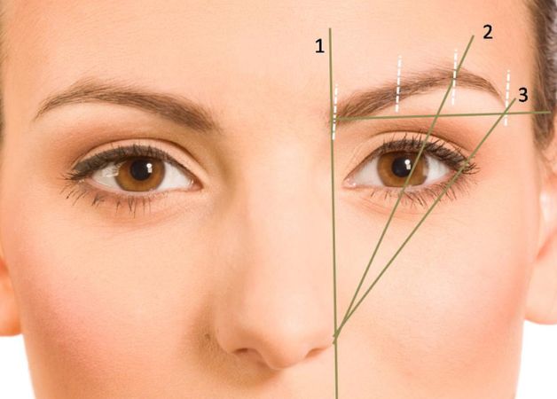Xác định tỉ lệ lông mày chuẩn