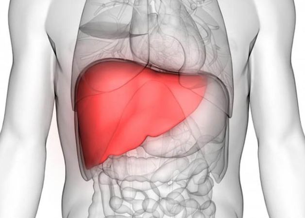 Nước mía có tác dụng giải độc gan, tăng hoạt động của hệ miễn dịch
