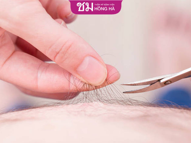 Hãy cắt theo chiều mọc của lông và không nên tỉa quá sát