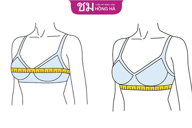 Muốn xác định size ngực thì cần đo đỉnh ngực và chân ngực