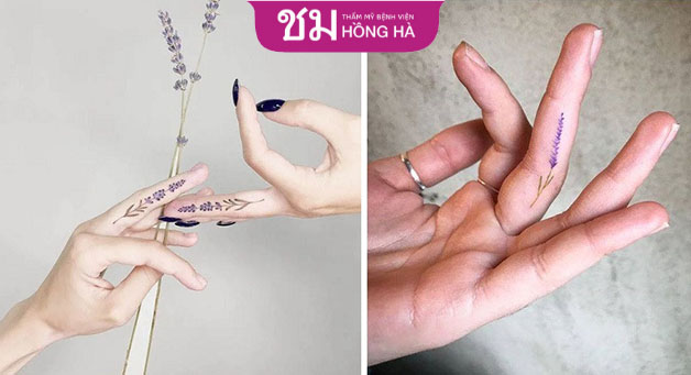 Hoa oải hương với sắc tím ấn tượng được yêu thích