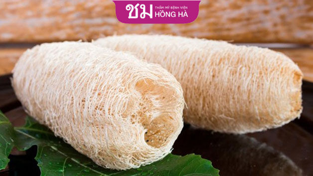 Xơ mướp với khả năng hút ẩm cao có thể dùng như miếng lót giày