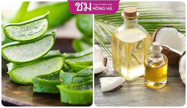 Công thức kết hợp giữa dầu dừa và nha đam sẽ ngăn ngừa lão hóa