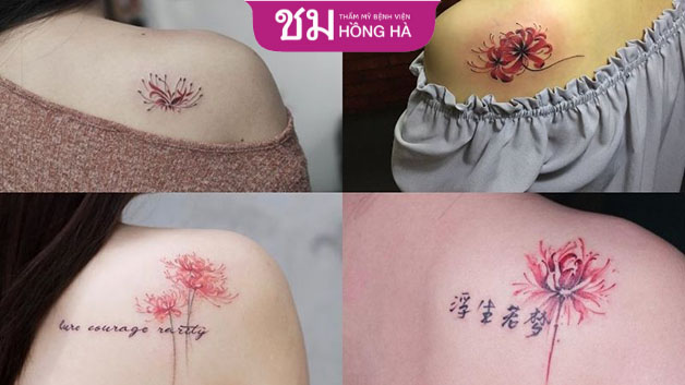 Bỉ ngạn đỏ kết hợp với dòng chữ tạo hiệu ứng đặc biệt