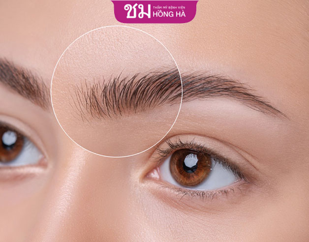 Lông mày đậm hay nhạt, rậm hay thưa phụ thuộc nhiều vào yếu tố nội tiết, di truyền, chế độ dinh dưỡng, stress...